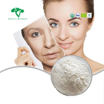 NAD+ Powder Manufacturer - Beta Nicotinamide Adenine Dinucleotide Anti-Aging & Bulk