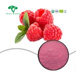 Raspberry Fruit Powder Manufacturer - Natural Soluble Solid Beverage & Factory Supply