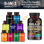 Shilajit Capsules Manufacturer - Resin Extract with Cordyceps Ginseng & Factory Supply