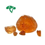 Arabic Gum Manufacturer - Acacia Senegal Gum Powder Food Thickener & Professional