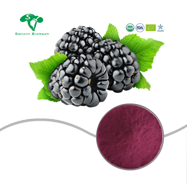 Mulberry Extract Powder Manufacturer - 25% Anthocyanins Fruit & High Quality
