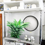 Apple Cider Vinegar Powder Manufacturer - Food Grade Organic Natural Detox & Direct Supply