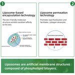 Liposomal Glutathione Manufacturer - Skin Whitening Powder & Factory Supply