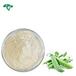 Broccoli Powder Manufacturer - 1% Sulforaphane Seed Extract Natural & Wholesale