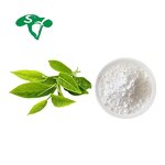 EGCG Powder Manufacturer - 98% Green Tea Extract for Health Food & Factory Supply