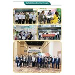 Bergenin Powder Manufacturer - 97% Natural Plant Extract & High Quality