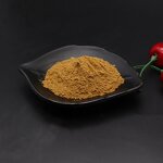 Maitake Mushroom Extract Manufacturer - Grifola Frondosa 50% Polysaccharide & Natural