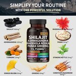 Shilajit Capsules Manufacturer - Resin Extract with Cordyceps Ginseng & Factory Supply