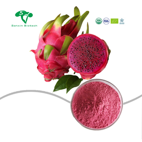 Red Pitaya Fruit Powder Manufacturer - Juice Extract for Beverage & Food