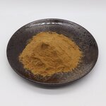 Tribulus Terrestris Powder Manufacturer - 30% Liposomal Saponins & Wholesale