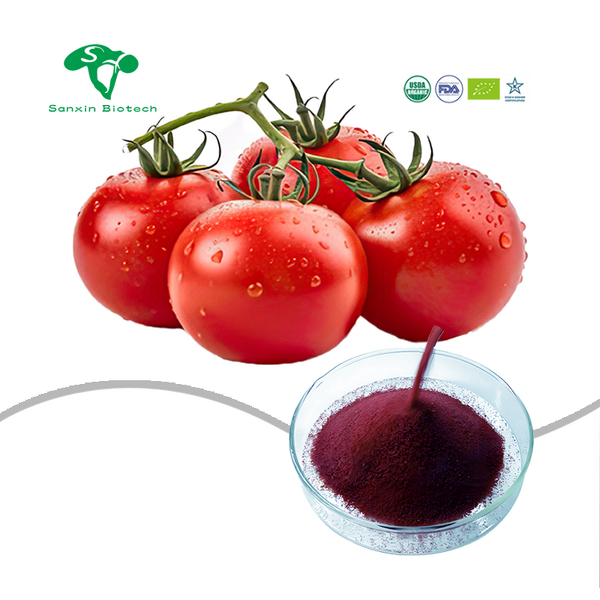 Lycopene Powder Manufacturer - 5% Tomato Extract CAS 502-65-8 Natural & Food Additive