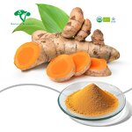Liposome Curcumin Powder Manufacturer - Water-Soluble Turmeric Extract & Factory Supply
