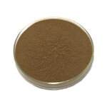 Tongkat Ali Powder Manufacturer - Eurycoma Longifolia Root Extract 10:1 & High Quality