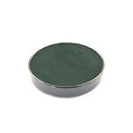 Chlorophyll Copper Sodium Salt Manufacturer - Mulberry Leaf Extract & Food Coloring