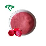 Red Pitaya Fruit Powder Manufacturer - Juice Extract for Beverage & Food