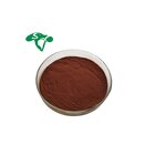 Grape Fruit Powder Manufacturer - 100% Fresh Juice Extract Powder & Factory