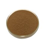 Phloretin Powder Manufacturer - 95% 98% Apple Peel Extract & Factory Supply Organic