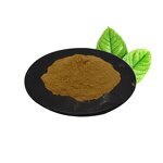 Maitake Mushroom Extract Manufacturer - Grifola Frondosa 50% Polysaccharide & Natural