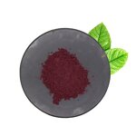 Mulberry Extract Powder Manufacturer - 25% Anthocyanins Fruit & High Quality