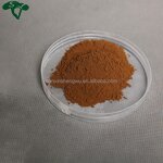 Resveratrol Capsules Manufacturer - Polygonum Cuspidatum Extract Anti-Aging & OEM