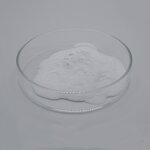 Liposome NAD+ Powder Manufacturer - 50% Liposomal Anti-Aging & High Purity