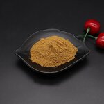 Maitake Mushroom Extract Manufacturer - Grifola Frondosa 50% Polysaccharide & Natural