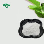 GABA Powder Manufacturer - 99% Y Aminobutyric Acid Food Grade & Top Quality