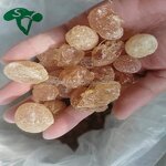 Polygonatum Pills Manufacturer - Herbal Supplements & Hot Sale