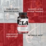 CLA Capsules Manufacturer - Conjugated Linoleic Acid for Weight Management & Bulk
