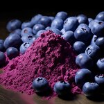 Blueberry Extract Powder Manufacturer - 100% Pure Freeze Dried Fruit & Factory