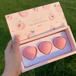 Makeup Sponge Set Manufacturer - Fruit Blender 3 in 1 - Beauty Cushion Powder Factory Direct