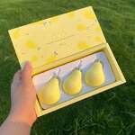 Makeup Sponge Set Manufacturer - Fruit Blender 3 in 1 - Beauty Cushion Powder Factory Direct