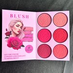 Makeup Book Manufacturer - Factory Price Low MOQ 4 In1 - Plush Highlighter Press Powder