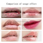 Lip Mask Manufacturer - Collagen Rose Private Label - Pink Gel Patch Custom Wholesale