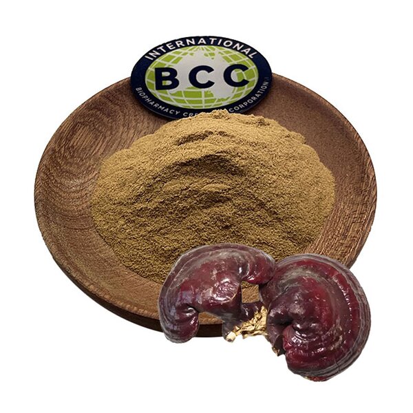 Ganoderma Lucidum Extract Powder Manufacturer - Lingzhi Reishi Mushroom & Bulk Organic