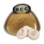 Agaricus Bisporus Extract Powder Manufacturer - Murrill Mushroom Organic & Bulk