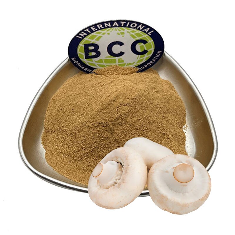 Agaricus Bisporus Extract Powder Manufacturer - Murrill Mushroom Organic & Bulk