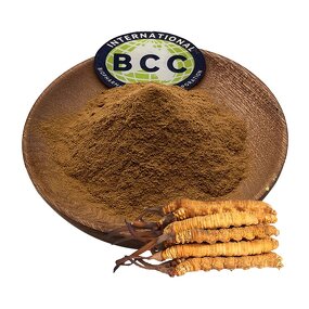 Cordyceps Militaris Powder Manufacturer - 0.3% 1% 3% Cordycepin & Bulk