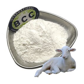 Sheep Placenta Protein Peptide Powder Manufacturer - 98% Hydrolyzed Small Molecule