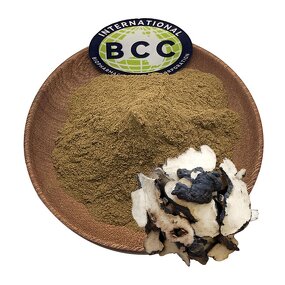 Polyporus Umbellatus Extract Powder Manufacturer - Mushroom Extract & Bulk