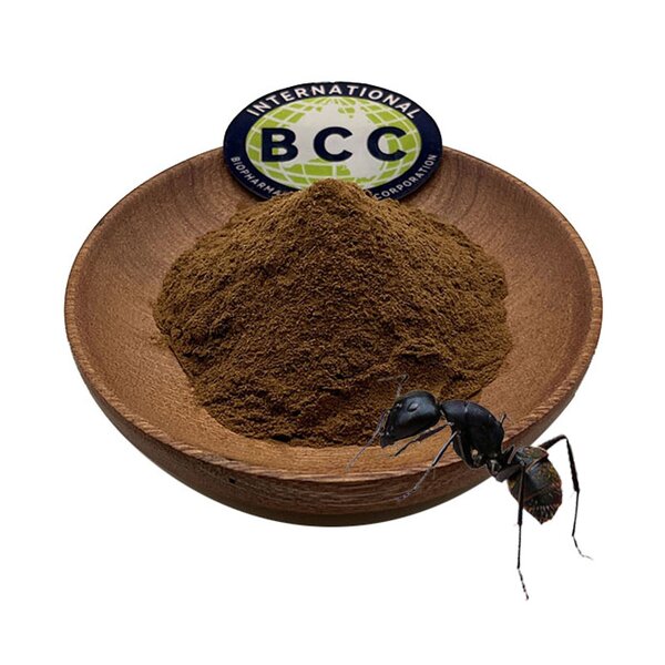 Black Ant Extract Powder Manufacturer - Polyrhachis Vicina King Extract