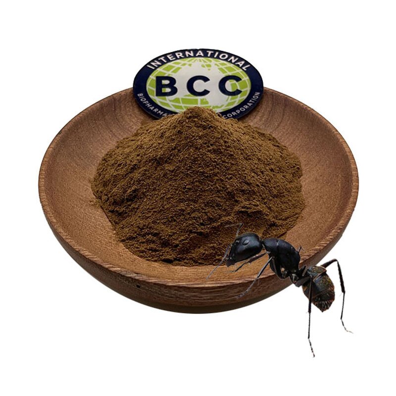 Black Ant Extract Powder Manufacturer - Polyrhachis Vicina King Extract