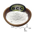 L-Lysine Powder Manufacturer - Food Grade CAS 56-87-1 Hot Selling & Wholesale