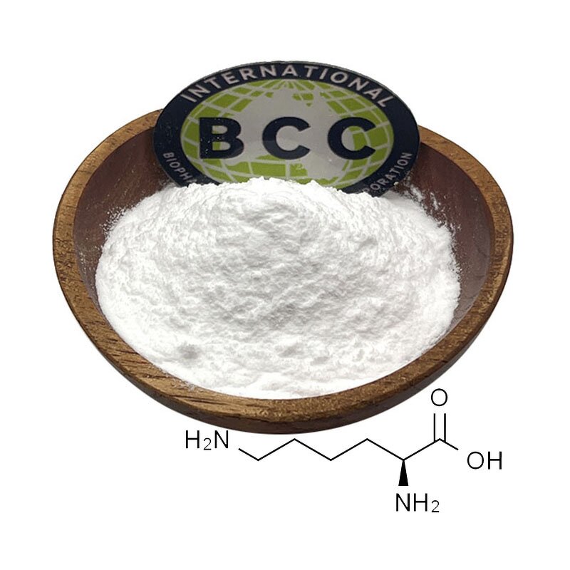 L-Lysine Powder Manufacturer - Food Grade CAS 56-87-1 Hot Selling & Wholesale