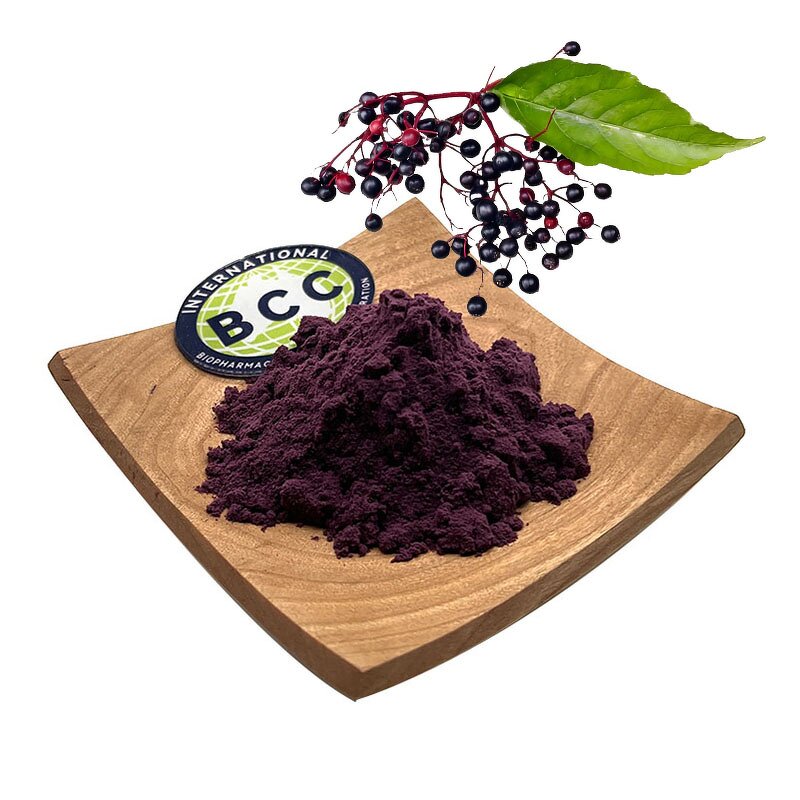 Black Elderberry Extract Powder Manufacturer - 25% Anthocyanins Natural & Factory Supplier