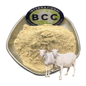 Sheep Placenta Extract Powder Manufacturer - Freeze Dried High Quality & Factory Price