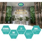 Freeze-Dried Fruit Powder Manufacturer - 100% Natural Organic Fruit & Vegetable