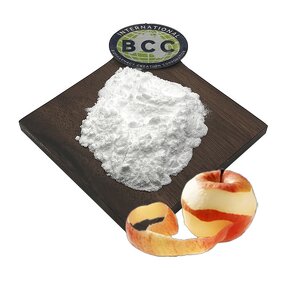 Phloretin Powder Manufacturer - 98% Apple Peel Extract Natural & Bulk Price