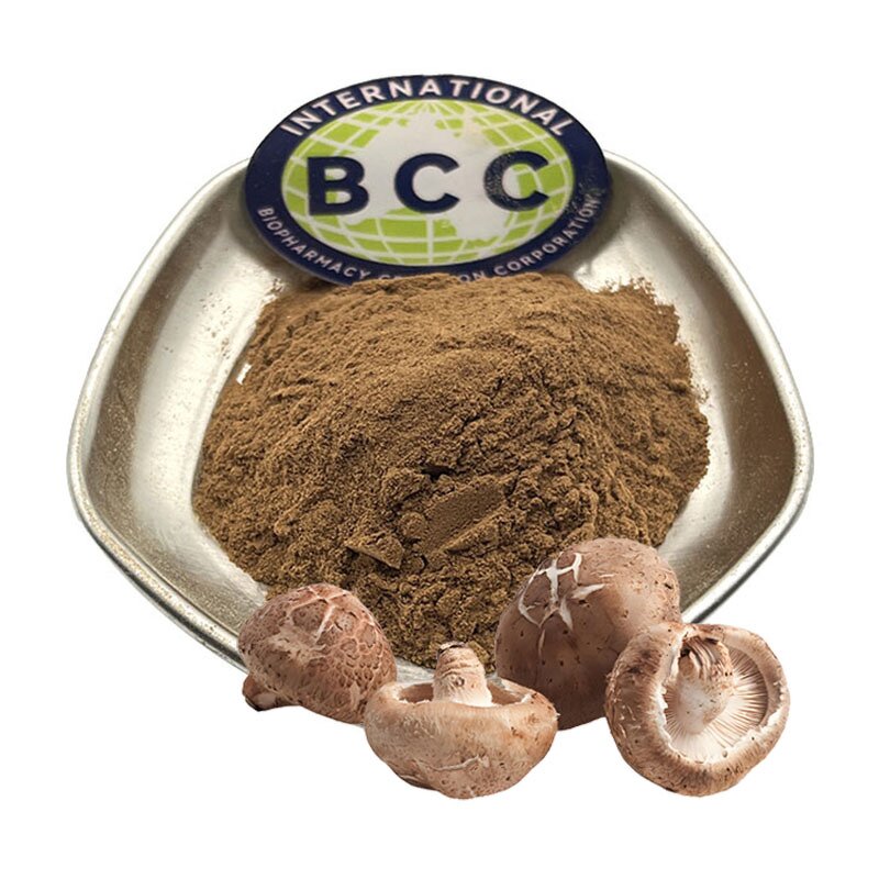 Shiitake Mushroom Powder Manufacturer - Lentinus Edodes Extract & Bulk