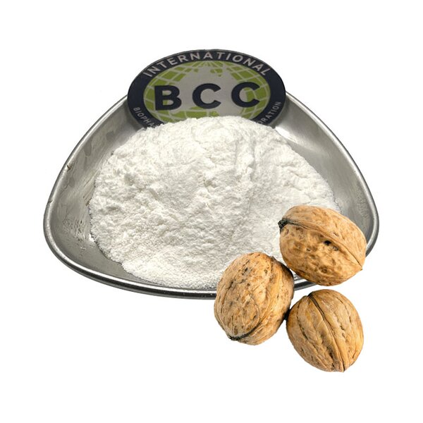 Walnut Peptide Powder Manufacturer - Pure Natural Organic Oligopeptide